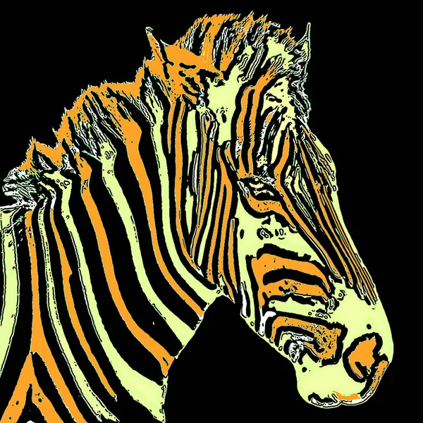Zebra Teken Illustratie Pop Art Achtergrond Pictogram Met Kleur Vlekken — Stockfoto