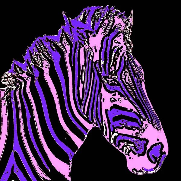 Zebra Işareti Renk Lekeli Pop Art Arkaplan Simgesi — Stok fotoğraf