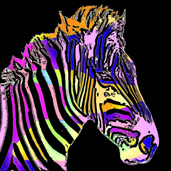 Zebra Σύμβολο Εικονογράφηση Pop Art Φόντο Εικονίδιο Κηλίδες Χρώματος — Φωτογραφία Αρχείου