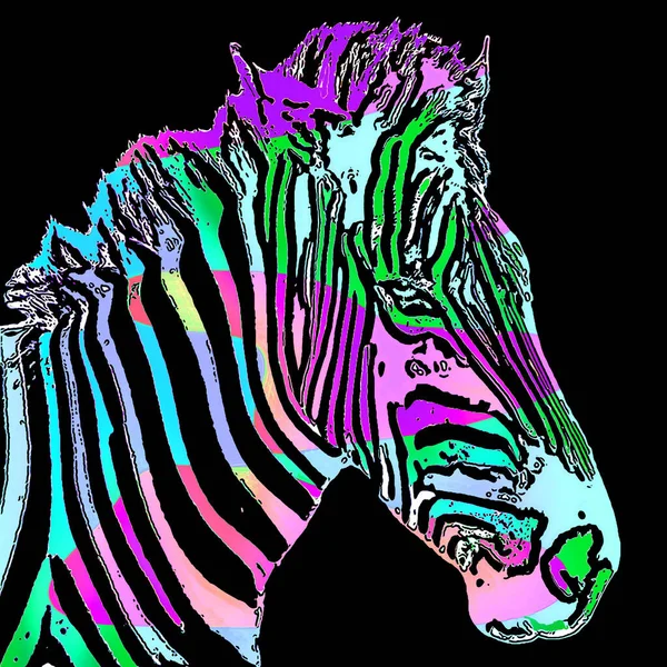 Zebra Teken Illustratie Pop Art Achtergrond Pictogram Met Kleur Vlekken — Stockfoto