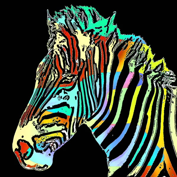 Zebra Işareti Renk Lekeli Pop Art Arkaplan Simgesi — Stok fotoğraf