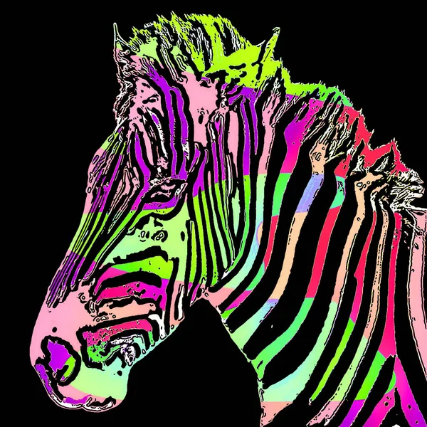 Zebra Σύμβολο Εικονογράφηση Pop Art Φόντο Εικονίδιο Κηλίδες Χρώματος — Φωτογραφία Αρχείου