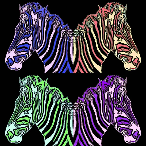 Zebraのサインイラストのポップアートの背景のアイコンとカラースポット — ストック写真