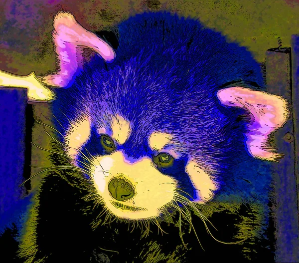 Bonito Sinal Panda Vermelho Ilustração Ícone Fundo Pop Art Com — Fotografia de Stock