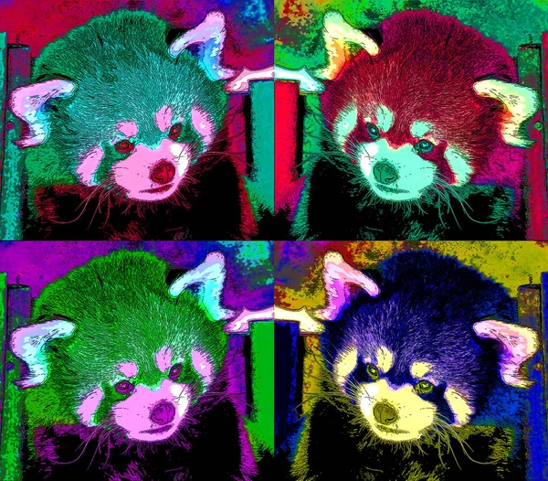 Cute red panda sign illustration pop-art background icon with color spots