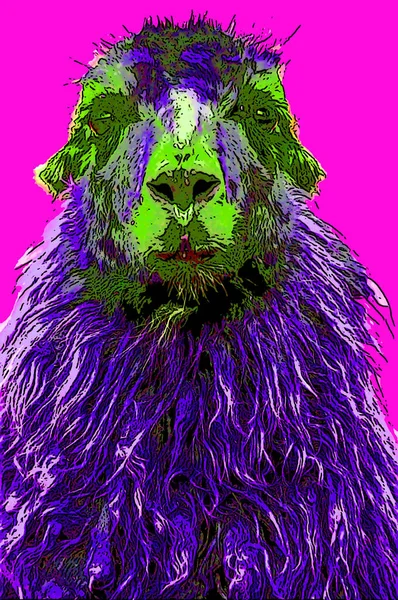 Lamas Sign Illustration Pop Art Background Icon Color Spots — Stok fotoğraf