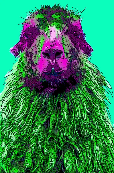 Lamas Sign Illustration Pop Art Background Icon Color Spots — 스톡 사진