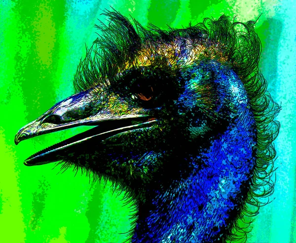Greater Rhea Rhea Americana Беспилотная Птица Обитающая Востоке Южной Америки — стоковое фото