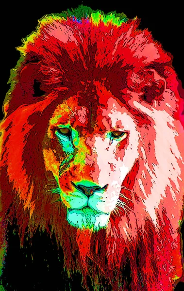 Lion Head Illustration Pop Art Style Icon Color — ストック写真