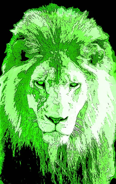 Lion head illustration in pop art style, icon with color