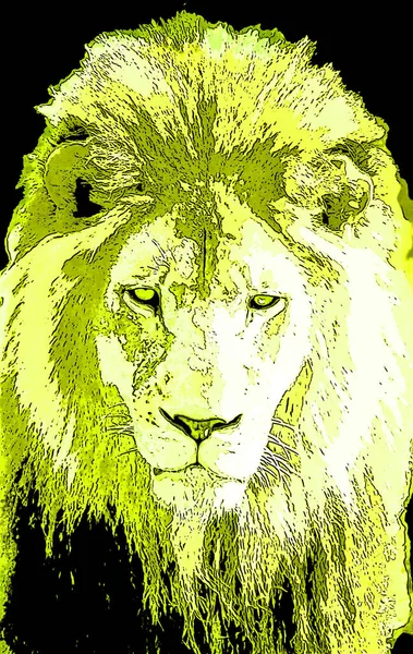 Lion head illustration in pop art style, icon with color