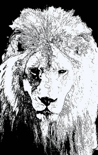 Lion head illustration in pop art style, icon with color