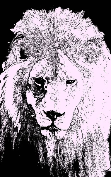 Lion Head Illustration Pop Art Style Icon Color — Stockfoto