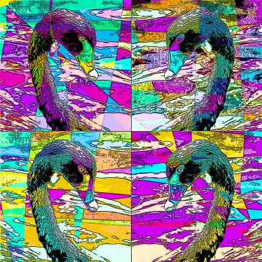 Ördekler renk lekeli pop-art arkaplan simgesini imzalarlar