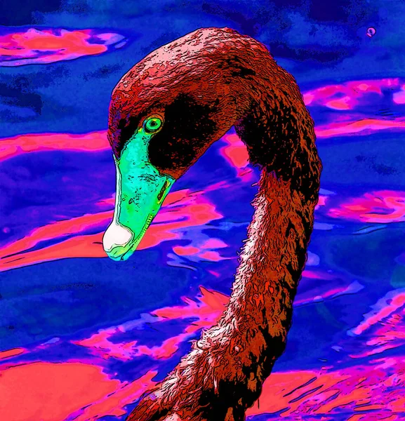 Duck Sign Illustration Pop Art Background Icon Color Spots — стоковое фото