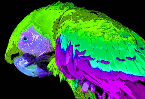 Scarlet Macaw Ara Macao Πινακίδα Εικονογράφηση Pop Art Φόντο Εικονίδιο — Φωτογραφία Αρχείου