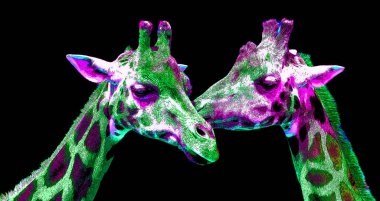 Zürafalar renk lekeli pop-art arkaplan simgesi imzalarlar