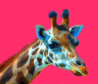 Zürafa, renk lekeli pop-art arkaplan simgesi imzası