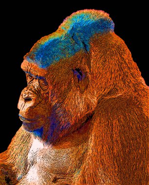 Renkli pop sanat gorili simgesi.