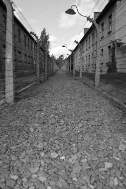 AUSCHWITZ BIRKENAU POLAND 09 17 17: Auschwitz concentration camp fences was a network of German Nazi concentration camps and extermination camps built and operated by the Third Reich in Poland in black and white