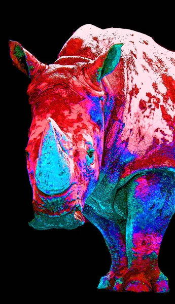 Rhinoceros Υπογράψει Εικόνα Pop Art Εικονίδιο Φόντου Κηλίδες Χρώματος — Φωτογραφία Αρχείου