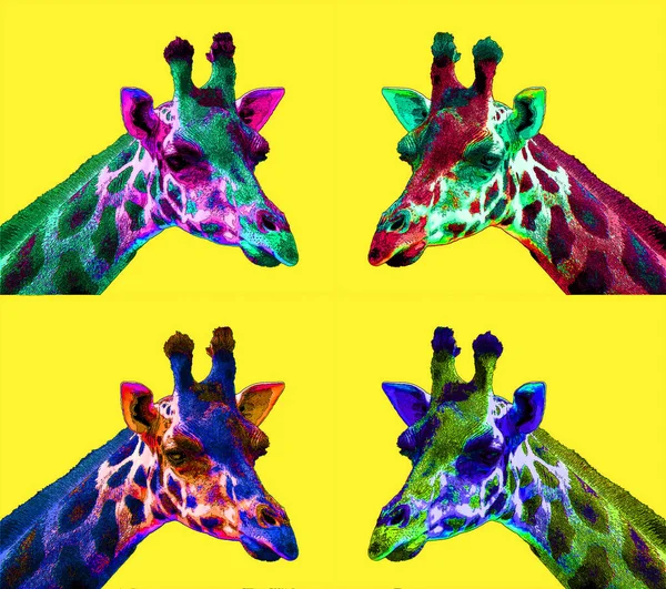 Giraffe sign illustration pop-art background icon with color spots