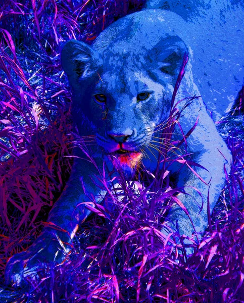 Lioness Sign Illustration Pop Art Background Icon Color — Φωτογραφία Αρχείου