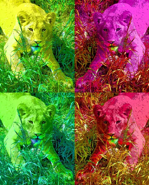 Lioness Sign Illustration Pop Art Background Icon Color — Fotografia de Stock