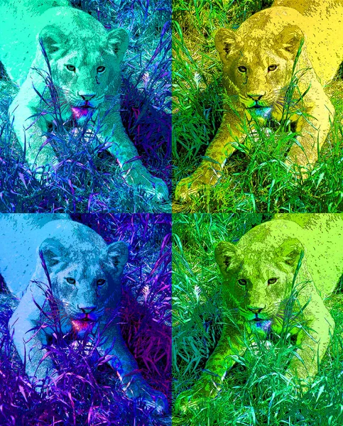 Lioness Sign Illustration Pop Art Background Icon Color — Zdjęcie stockowe