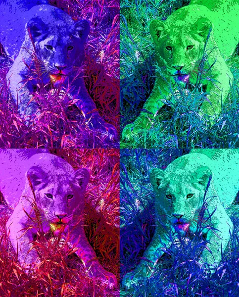 Lioness Sign Illustration Pop Art Background Icon Color — 스톡 사진