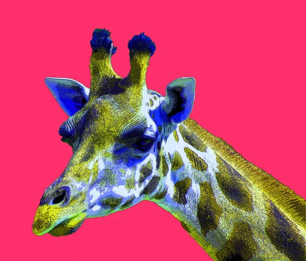 Значок Жирафа Ілюстрація Поп Арт Значок Тла Кольоровими Плямами — стокове фото
