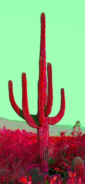 アリゾナ州のサガロ城のような人間は カラースポットとイラストポップアートの背景アイコンに署名します — ストック写真