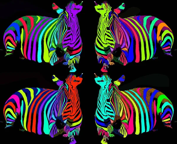 Zebraのサインイラストのポップアートの背景のアイコンとカラースポット — ストック写真