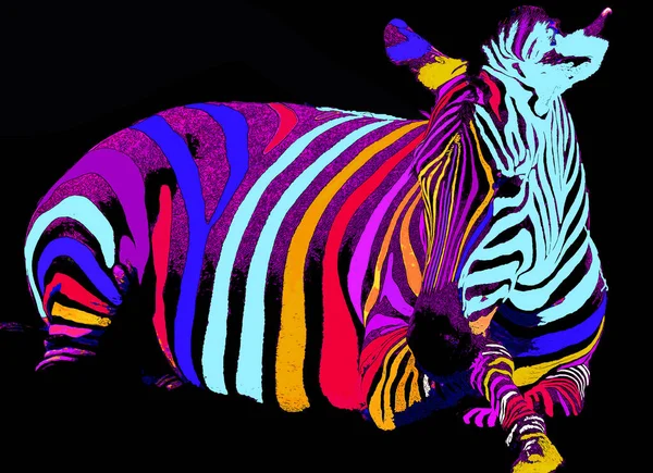 Zebra Illustration Pop Art Style Icon Color — Stock Photo, Image
