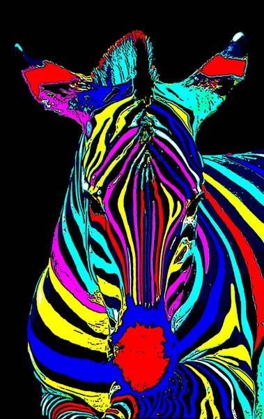 Zebra Baş Illüstrasyonu Pop Sanat Tarzında Renkli Simge — Stok fotoğraf