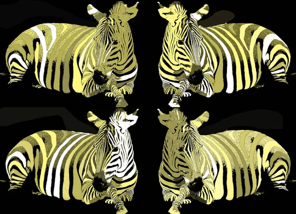 Zebraのサインイラストのポップアートの背景のアイコンとカラースポット — ストック写真