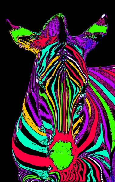 Zebra Head Illustration Pop Art Style Icon Color — Stock Photo, Image