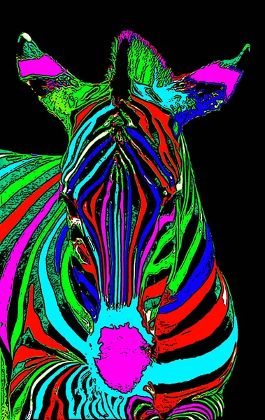 Головна Ілюстрація Zebra Стилі Поп Арту Ікона Кольором — стокове фото
