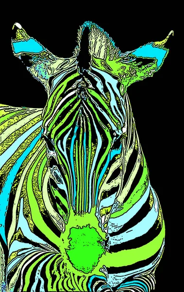 Zebra Fej Illusztráció Pop Art Stílusban Ikon Színes — Stock Fotó