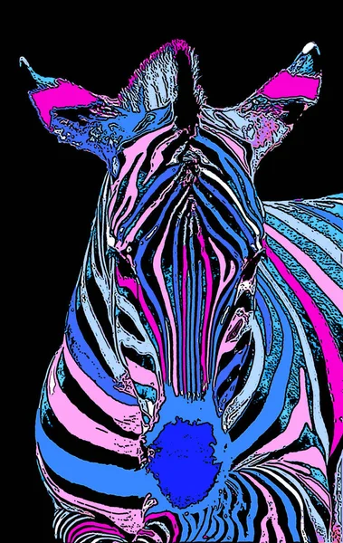 Zebra Fej Illusztráció Pop Art Stílusban Ikon Színes — Stock Fotó
