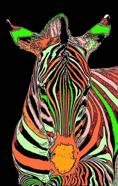 Zebra head illustration in pop art style, icon with color
