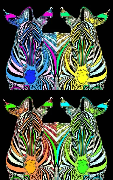 Zebra Sign Illustration Pop Art Background Icon Color Spot — 스톡 사진
