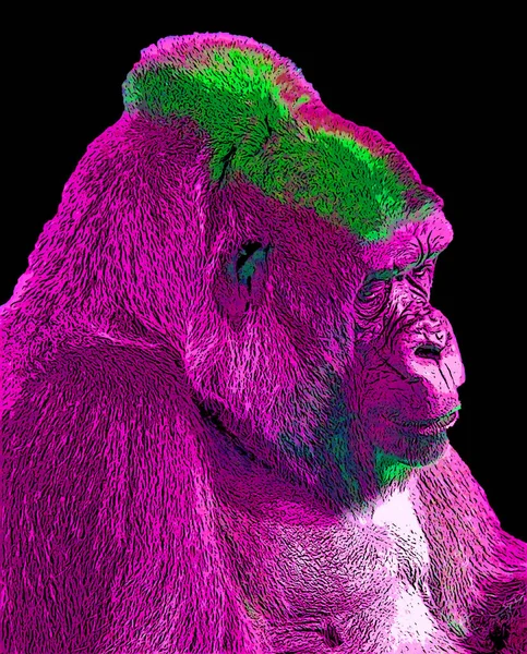 Pop Art Gorilla Icon Color Spots — Stock Photo, Image