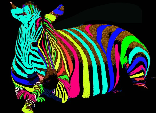 Zebra Illustration Pop Art Style Icon Color — Stock Photo, Image