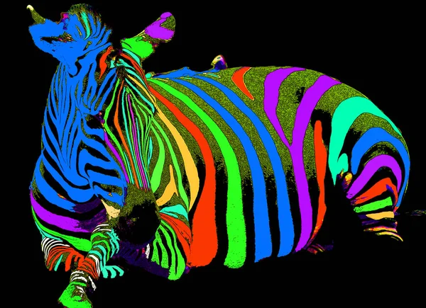 Zebra Illustratie Pop Art Stijl Icoon Met Kleur — Stockfoto