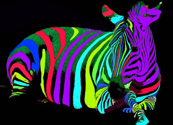 Zebra Illustration Pop Art Style Icon Color — ストック写真