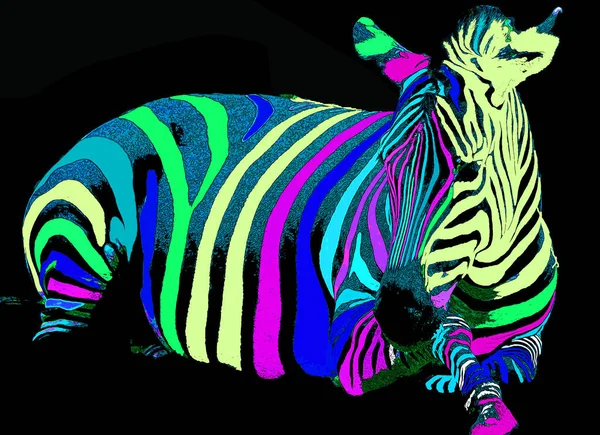 Zebra Illustration Pop Art Style Icon Color — Stockfoto