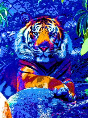 Kaplan işaret illüstrasyon renk lekeli pop-art arkaplan simgesi 
