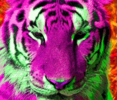 Kaplan işaret illüstrasyon renk lekeli pop-art arkaplan simgesi 