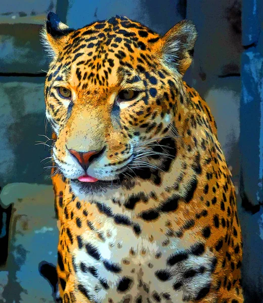 Pop Art Icono Jaguar Con Manchas Color — Foto de Stock